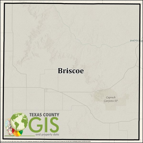 Briscoe County Texas GIS Shapefile and Property Data