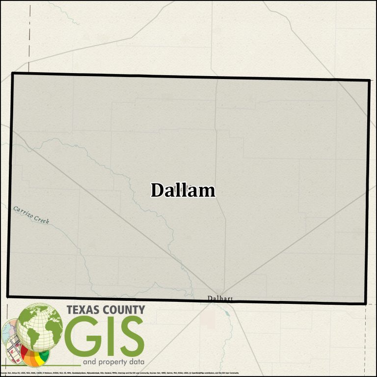 Dallam County Texas GIS Shapefile and Property Data