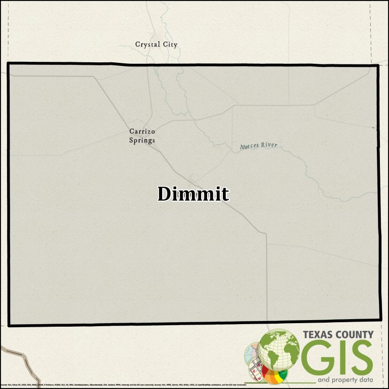 Dimmit County Texas GIS Shapefile and Property Data