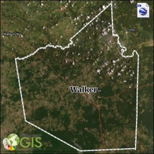 Walker County Texas KMZ and Property Data 