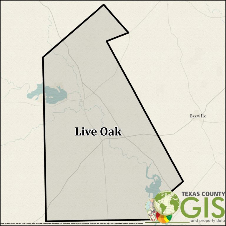 Live Oak County Texas GIS Shapefile and Property Data
