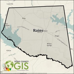 Rains County GIS Shapefile and Property Data